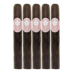 Room 101 13th Anniversary Toro 5 Pack