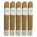 Room 101 Big Payback Connecticut Robusto 5 Pack