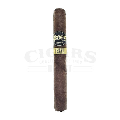 Room 101 Daruma Toro Single