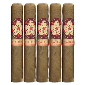 Room 101 Farce Connecticut Robusto 5 Pack