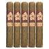 Room 101 Farce Connecticut Robusto 5 Pack