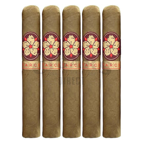 Room 101 Farce Connecticut Super Toro 5 Pack
