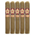 Room 101 Farce Connecticut Super Toro 5 Pack