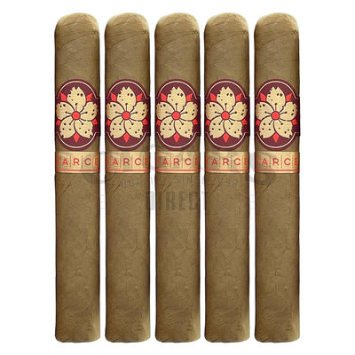 Room 101 Farce Connecticut Super Toro 5 Pack
