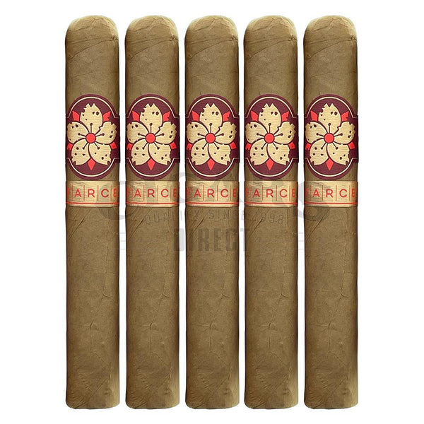 Room 101 Farce Connecticut Super Toro 5 Pack