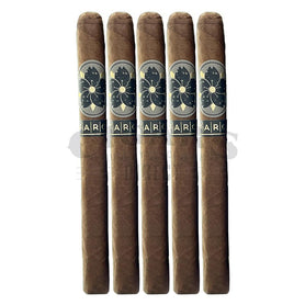 Room 101 Farce Lonsdale 5 Pack