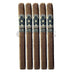 Room 101 Farce Lonsdale 5 Pack