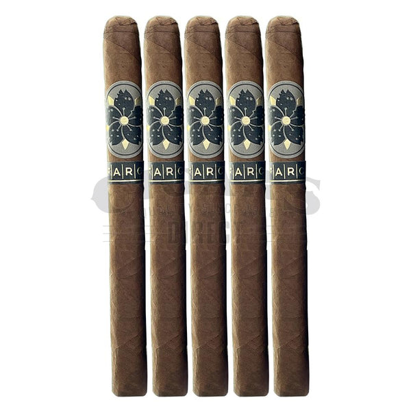 Room 101 Farce Lonsdale 5 Pack
