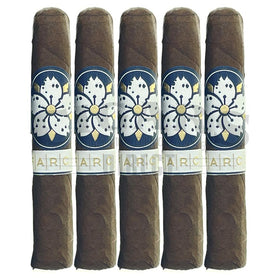 Room 101 Farce Maduro Papi Chulo 5 Pack