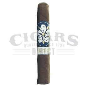 Room 101 Farce Maduro Papi Chulo Single