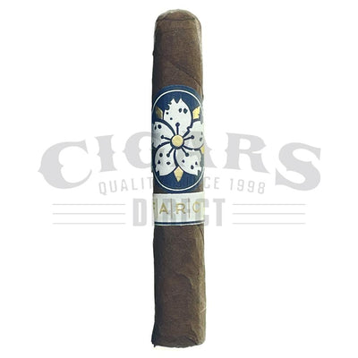 Room 101 Farce Maduro Papi Chulo Single
