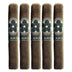 Room 101 Farce Robusto 5 Pack