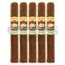 San Cristobal Quintessence Epicure Toro 5 Pack