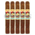 San Cristobal Quintessence Robusto 5 Pack