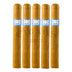 Southern Draw 300 Hands Connecticut Coloniales 5 Pack