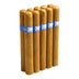 Southern Draw 300 Hands Connecticut Corona Gorda 10 Pack