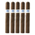 Southern Draw 300 Hands Maduro Coloniales 5 Pack