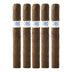 Southern Draw 300 Hands Maduro Corona Gorda 5 Pack