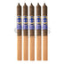 Southern Draw Jacobs Ladder Lancero 5 Pack