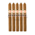 Southern Draw Rose Of Sharon Desert Rose Lonsdale 5 Pack
