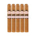 Southern Draw Rose Of Sharon Gordo 5 Pack