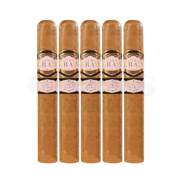 Southern Draw Rose Of Sharon Gordo 5 Pack