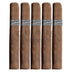 Tatuaje Black Petite Corona 5 Pack