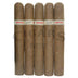 Tatuaje Monster Series Tiff No.12 5 Pack