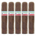 Tatuaje T110 Habano Petit Robusto 5 Pack