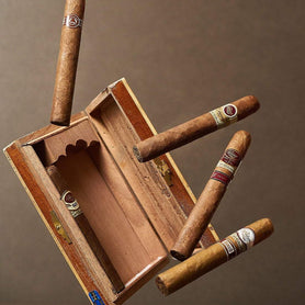 The Padron Collection Natural Sampler Art Work