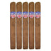 United Cigars Natural Churchill 5 Pack