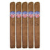 United Cigars Natural Churchill 5 Pack