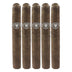 Victor Sinclair Clasicos Toro Maduro 5 Pack