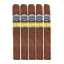 Warped Bits of Havana Seleccion de Capital L.E. Toro 5 Pack