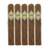 Warped La Chinchalle Robusto 5 Pack