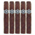 Warped Companion Rothschild 5 Pack