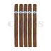 Warped El Oso Mama Lancero 5 Pack