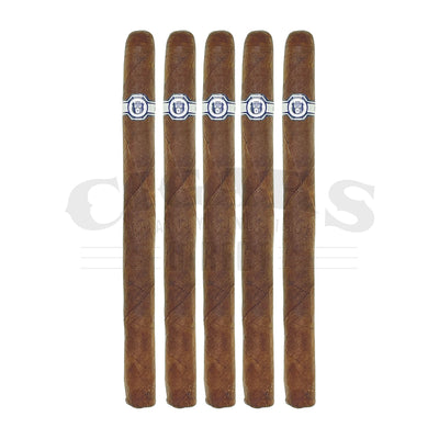 Warped El Oso Mama Lancero 5 Pack