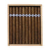 Warped El Oso Mama Lancero Open Box