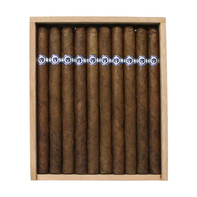 Warped El Oso Mama Lancero Open Box