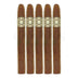Warped Flor Del Valle Sky Moon Corona 5 Pack