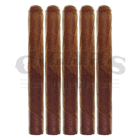 Warped Seleccion Lirio Rojo Corona 5 Pack