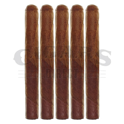 Warped Seleccion Lirio Rojo Corona 5 Pack