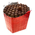 Warped Seleccion Lirio Rojo Corona Open Bundle
