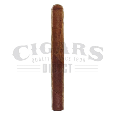 Warped Seleccion Lirio Rojo Corona Single