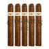 Warped Serie Gran Reserva 1988 Robusto 5 Pack